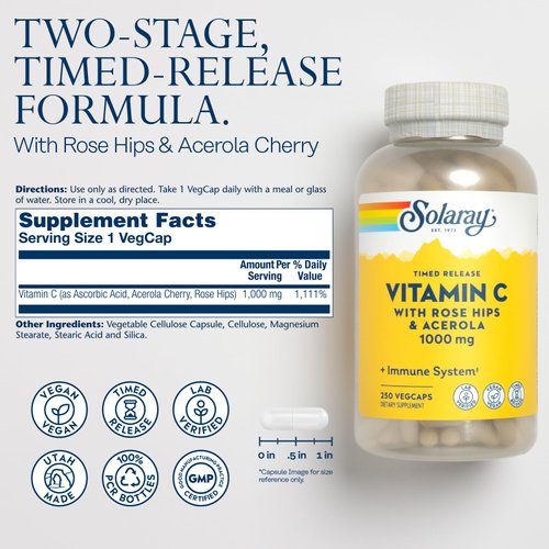 SOLARAY Vitamin C with Rose HIPS & Acerola | Two-Stage Timed-Release Formula | 1000mg | 24-Hour Immune Support & Antioxidant Supplement | 250 Ct.