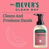 MRS. MEYER'S CLEAN DAY Foaming Hand Soap, Watermelon Scent, 10 Fl oz. (Pack of 2)