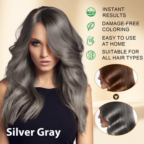 Silver Gray Hair Color Shampoo Made with Argan Oil, 3 in 1 Instant Silver Hair Dye Shampoo for Gray Hair for Women & Men, 4 Weeks of Vibrant Color, Semi-Permanent Hair Color Kit for All Hair Types