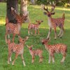 Flormoon Deer Toys - 6pcs Realistic Deer Woodland Animals Figurines - Early Educational Toys, Birthday Cake Topper for Kids