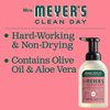 Mrs. Meyer's Foaming Hand Soap, Watermelon, 10 Ounce (Pack of 2)