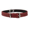 Genuine Leather Felt Padded Dog Collar X-Small 11" x1/2" Wide Fits 8"-10" Neck, Chihuahua, Puppies