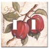 Art Plates - Double Gang Toggle OVERSIZE Switch Plate - OVER SIZE Decorative Metal Wall Plate - Apples - (Made in USA)