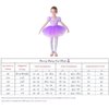 Dressy Daisy Princess Ballet Tutu Dress Fancy Dance Wear Ballerina Costume Outfit Dancewear for Little Girls Size 7-8 Purple 074