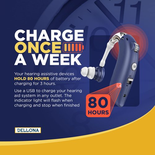 Dellona High-Performance Hearing Aids for Seniors Severe Hearing Loss, (Pair) Rechargeable Hearing Aids, Comfort Design Hearing Aid, Hearing Aids for Seniors Rechargeable with Noise Cancelling, PSAP