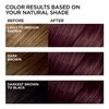 L'Oreal Paris Feria Multi-Faceted Shimmering Permanent Hair Color, Chocolate Cherry, Hair Dye Kit, Pack of 2