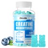 ElevateLife Creatine Monohydrate Gummies 5000mg for Men & Women, Chewables Creatine Monohydrate for Muscle Strength, Muscle Builder, Energy Boost, Pre-Workout Supplement(90 Count)-Blueberry