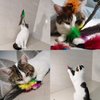 TIENAILING Cat Feather Toys Refills Cat Wand Replacement Feathers, 10 PCS Feather Cat Toy Refills, Cat Toy Wand Attachments Feathers for Cat Toys