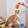 Andiker 5pcs Crinkle Balls Cat Toys, 3.93Inches Candy Color Crinkle Balls Attract Cats to Chew & Chase, Durable Interactive Cat Toys for Indoor Cats to Keep Fit and Active (Multi-Color)