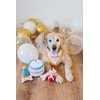 ZippyPaws Birthday Gifts for Dogs - Birthday Cake Burrow with Bone, Party Hat, & Gift Box, Dog Birthday Party Supplies for Boys & Girls