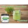 Wheatgrass Powder - USDA Certified Organic Wheat Grass Powder That Is Rich In Essential Amino Acids, Chlorophyll, Antioxidants, Fatty Acids, Minerals & Vitamins - US Grown - Vegan & Non-GMO Superfoods