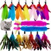 CATENEED Cat Feather Toys Refill Cat Wand Replacement Feathers, 16 PCS Cat Toy Feather Refills, Cat Wand Attachments Feathers for Cat Toys