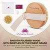 Dry Skin Body Brush - Adjustable Strap with Massage Nodes - Natural Bristle - Removes Cellulite & Dead Skin,Exfoliates, Improves Lymphatic Functions, Stimulates Blood Circulation,Tightens Skin
