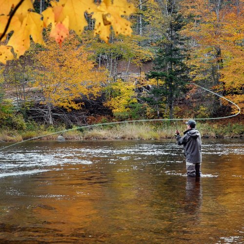 The Fly Fishing Place Black Muddler Minnow Fly Fishing Flies - Bass and Trout Streamers - Set of 4 Flies Size 8