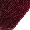 1B99J Bundles Ombre Kinky Curly Human Hair Bundles 8A Grade Brazilian Unprocessed Virgin Hair 3 Bundles 20 22 24 Inch Two Tone Black Wine Red Bundles Human Hair Extensions