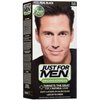 Just For Men Shampoo-In Hair Color - Real Black