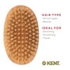 Kent MC4 Finest Men's Grooming Brush - Natural Boar Bristle Facial Brush for Beard, Hair, and Scalp Care with Exfoliating Royalty Beard Straightener