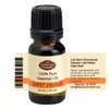 Fabulous Frannue Great Eight Set in Carrying Case osemary, Lavender, Sweet Orange, Lemongrass, Tea Tree, Patchouli, Peppermint and Eucalyptus Pure Essential Oils 10ml (Count of 8)