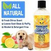 Bodhi Dog New Refreshing Orange Citrus Dog Shampoo | Deep Cleaning Formula with Coconut and Aloe Vera | Natural Soothing & Moisturizing Pet Dog Puppy and Cat Wash (17 Fl Oz)