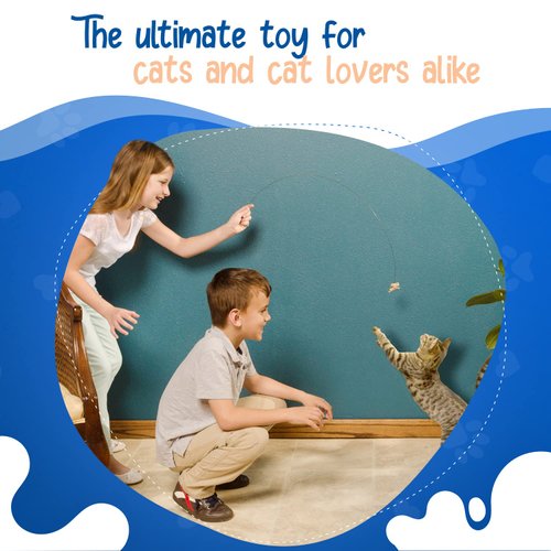 Cat Dancer Products 101 Interactive Cat Toy, Brown