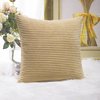 Home Brilliant 18x18 Throw Pillow Covers Decorative Set of 2 Soft Velvet Corduroy Striped Square Cushion Cover for Bench Couch Decor, 18 x 18 inch, Taupe