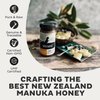 Steens Manuka Honey - MGO 263+ - Pure & Raw 100% Certified UMF 10+ Manuka Honey - Bottled and Sealed in New Zealand - 17.6 oz Jar…