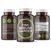 GANNON MED Chelated Zinc 50mg Immune Garden Vitamin C 800mg Zinc Supplements Echinacea 600mg per Tablet - Immunity + Skin + Reproductive Health Minerals - Zinc Chelate Immune Booster for Kids & Adults