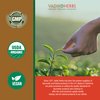Vadik Herbs Certified Organic Haritaki (Terminalia chebula) | Made in USA | Wildcrafted and Safety Tested (180 Vegicaps)