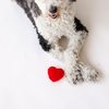 Midlee Plush Red Heart Valentine's Day Dog Toy (Small)