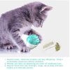 Sanshia Cat Toothbrush Catnip Toy, Interactive Chew Toy with Built-in Bells, Rubbing Face Eliminate Loneliness,Easy Clean