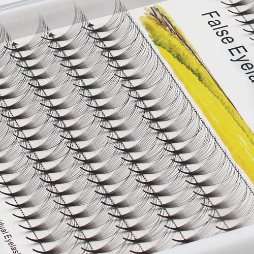 Dedila Premade Fans Eye Lashes Extensions 12D Natural Individual False Eyelashes Cluster Lashes 10-18mm to Choose(12mm)