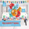 Lilo and Stitch Birthday Party Decorations for 16 | Banner, Tablecloth, Balloons, Stitch Plates and Napkins, Sticker | Stitch Birthday Decorations | Officially Licensed