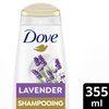 Dove Volume Shampoo for Thinning Hair Thickening Ritual Hair Shampoo with Lavender 12 oz