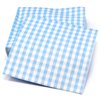 Gift Boutique 100 Blue and White Gingham Cocktail Napkins Disposable Paper Checkered Plaid Dinner Beverage Napkin for Summer Picnic Barbecue Wedding Baby & Bridal Shower Dinnerware Table Decorations