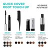 Kiss Quick cover Gray Hair Touch Up Wet Stick Type (2 Pack - Black)