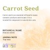 Aura Cacia Essential Oil, Replenishing Carrot Seed, 0.5 fluid ounce