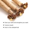 HZONGMINGZT 6 Pcs Cat Catnip Sticks Natural Silvervine Sticks Cat Toys Indoor Cats Interactiv Matatabi Cat Nip Toys Cat Chew Sticks Toy for Cat Dental Teeth Cleaning