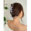 LILIE&WHITE Silver Hair Clips For Women Summer Hair Clip With Claw Acrylic Clips For Hair Pretty Claw Clips For Thin Hair Women Non Slip Strong Hair Clamps Accessories Gift
