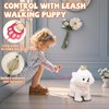 Bilinott Puppy Toys for Kids Aged 3-7, Interactive Toy Dogs That Walk and Bark and Wag Their Tails, Walking Dog Toys with Leash, Creative Stuffed Animals Gifts for 3 + Year Old Girls and Boys