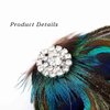 Acenail Boho Peacock Feather Hair Clips Crystal Hair Pins Fashion Feather Hair Barrettes Hair Accessory for Women and Girls