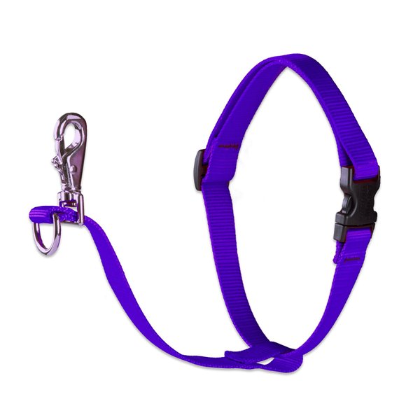 LupinePet Basics 3/4" Purple 16-26" No Pull Harness for Small-Medium Dogs
