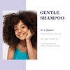 MONAT Junior™ Gentle Shampoo - A safe, Gentle and Non-irritating Hair Shampoo for children. All Natural Tear-free, Sulfate & Paraben-free - Net Wt. 237 ml / 8 fl. oz.