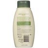 Aveeno Active Naturals Daily Moisturizing Body Wash, 12 fl oz