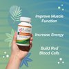 Blood Booster Iron Supplement for Energy and Fatigue - Gentle, Non-constipating Iron, Methylfolate and Other coenzyme B Vitamins (180 caps - Vegan, Gluten Free, Non-GMO)
