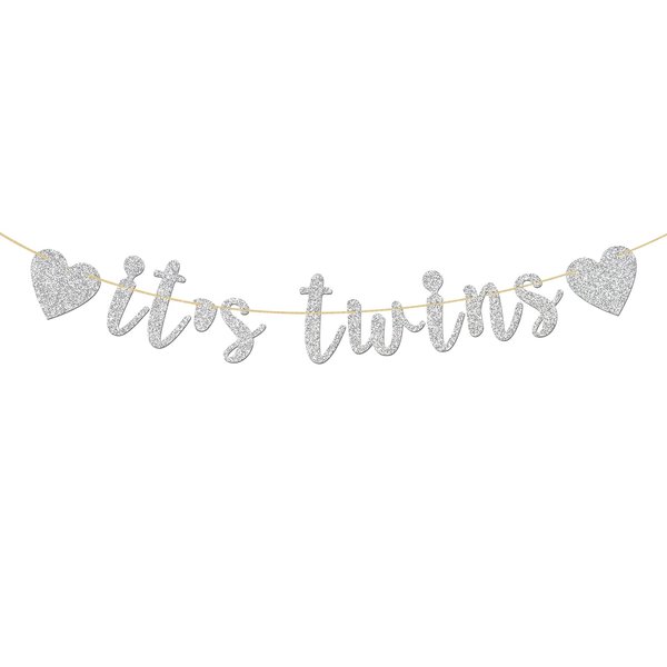 Glitter Silver It's Twins Banner - Baby Shower - Oh Babies First Birthday Banner - Baby Birthday Party Decorations