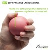 Champion Sports Sponge Lacrosse Balls: Soft Touch for Professional, College and Grade School Indoor Outdoor Training and Practice - 12 Pack, Pink-Sponge