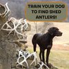 DogBone Shed Dog Training Dummy (White) | Dog Training Kit | Hunting Dog Accessories | Dog Training Tools | Dog Scent Training Kit | Scent Training for Dogs | Hunting Dog Toys