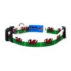 Wales Dog Collar | Wales Flag | Quick-release Buckle | Made in NJ, USA | for Small Dogs
