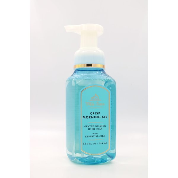 Generic Crisp Morning Air, Bath and Body, Gentle Foaming Hand Soap, 8.75 fl oz