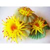 Aquarium Fish Tank Silicone Sea Anemone Artificial Coral Ornament SH014A 13